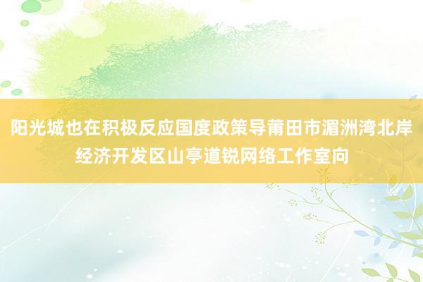 阳光城也在积极反应国度政策导莆田市湄洲湾北岸经济开发区山亭道锐网络工作室向