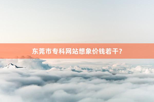 东莞市专科网站想象价钱若干？