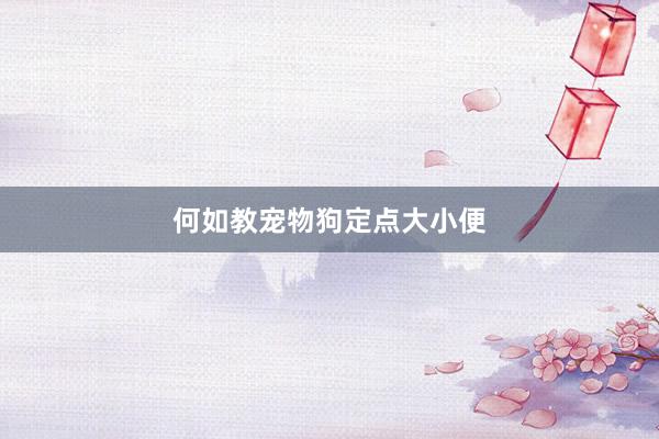 何如教宠物狗定点大小便